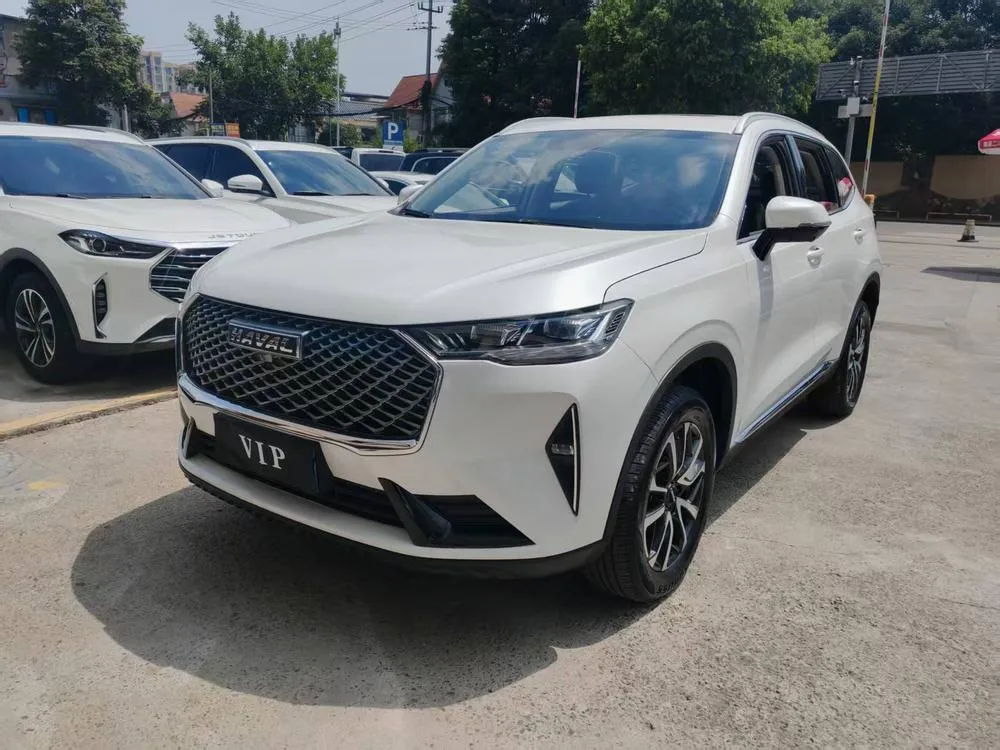 Haval H6 1.5GDIT Auto Pro Edition, 2021 — фото 1