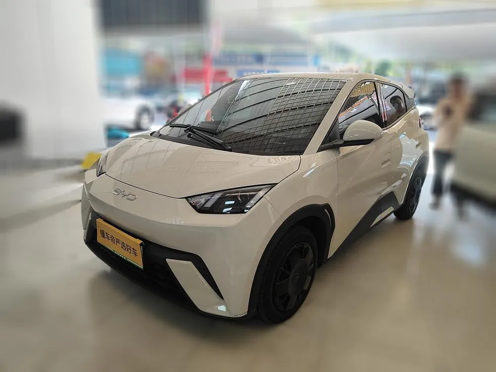 BYD Seagull, 2025