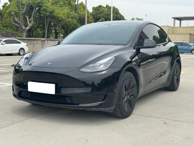Tesla Model Y Edition, 2022 — фото 1