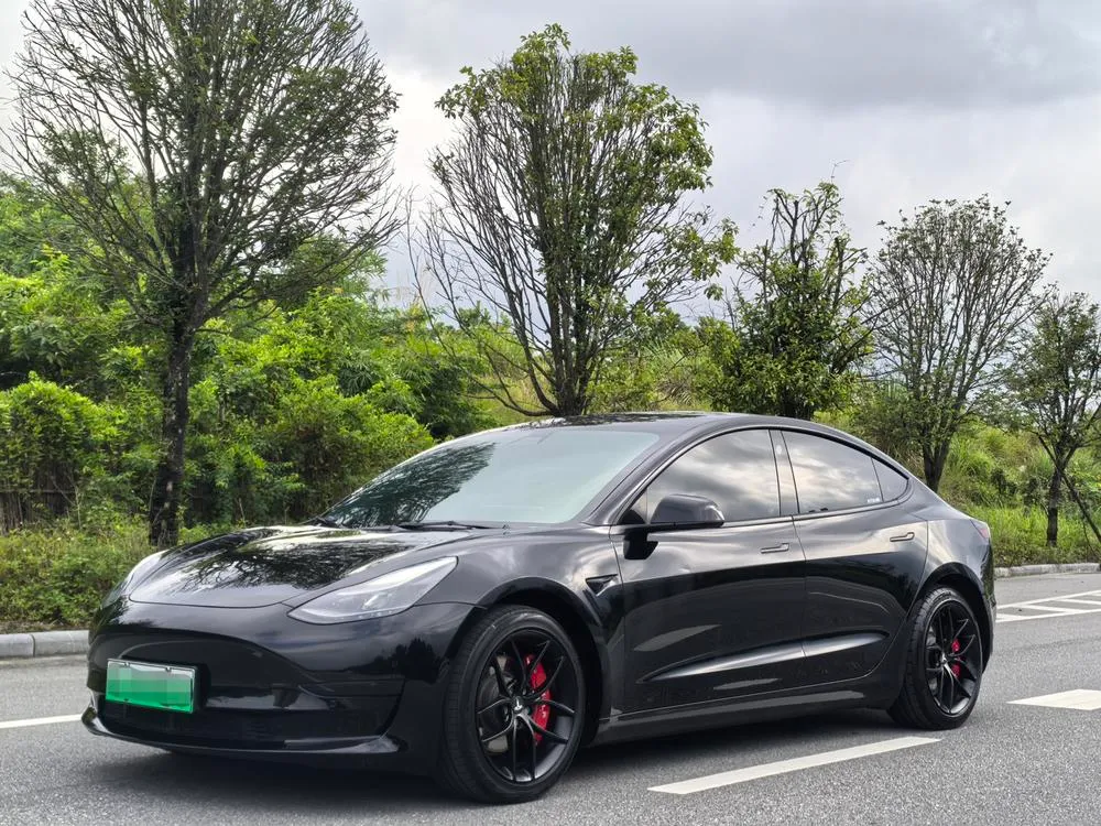 Tesla Model 3, 2021