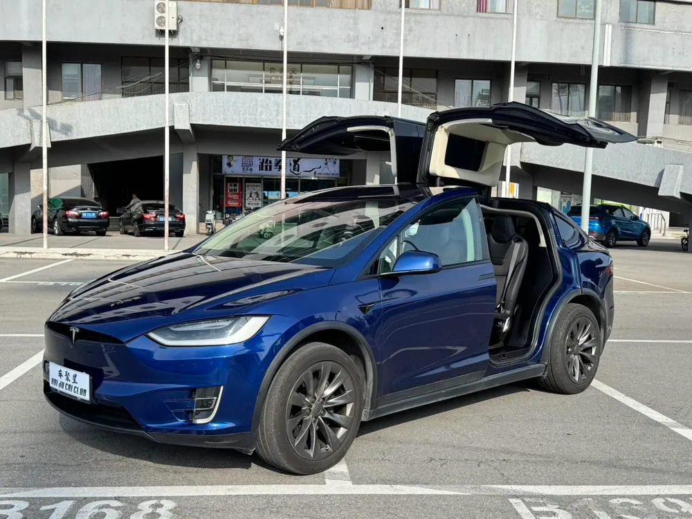 Tesla Model X 75D, 2016 — фото 1