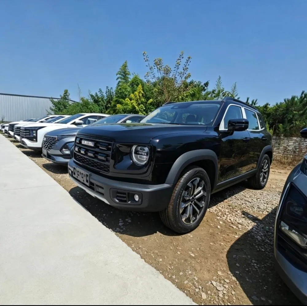 Haval Big Dog, 2026