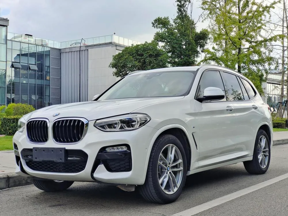 BMW X3 xDrive25i M Sport CN5, 2018 — фото 1