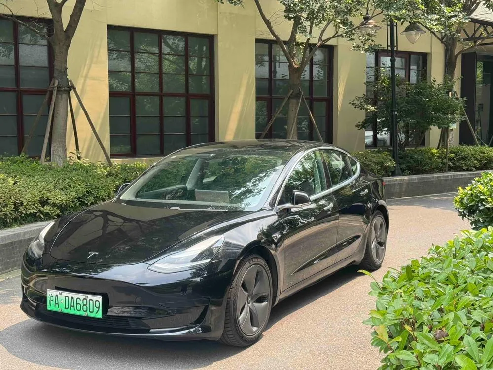 Tesla Model 3 Standard Range RWD Upgraded Edition, 2020 — фото 1