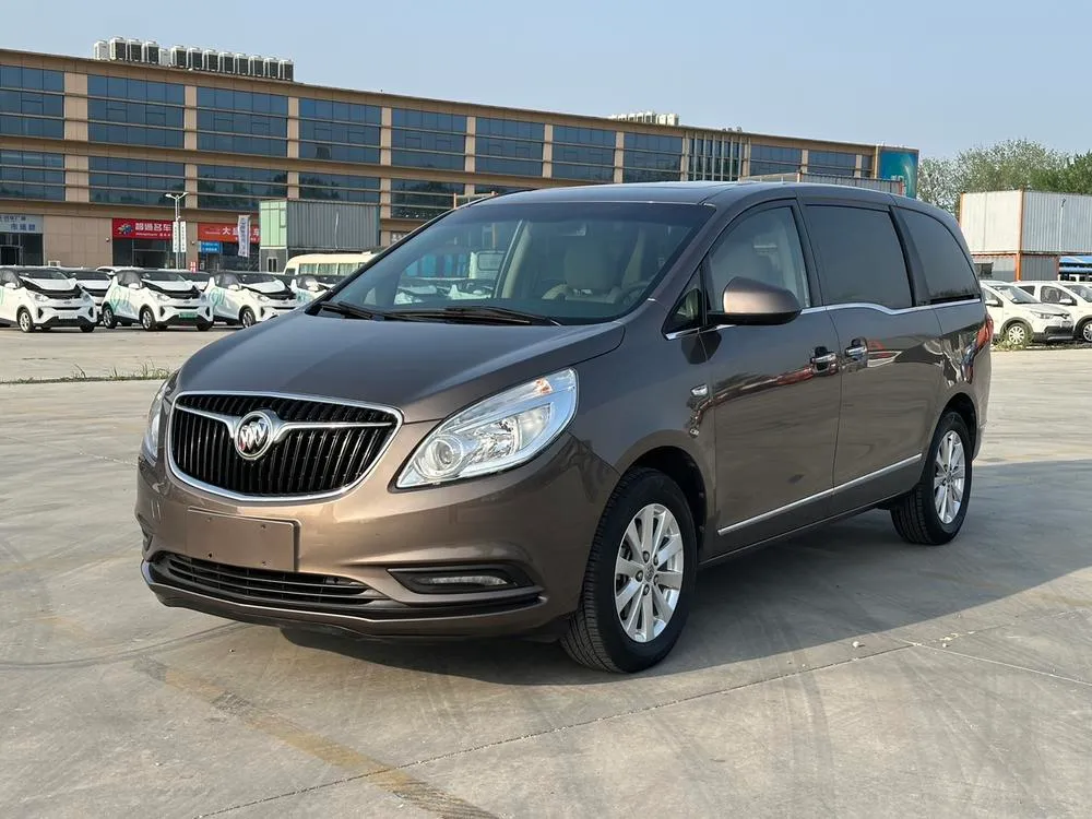 Buick GL8 25S Luxury Version CN5, 2017 — фото 1