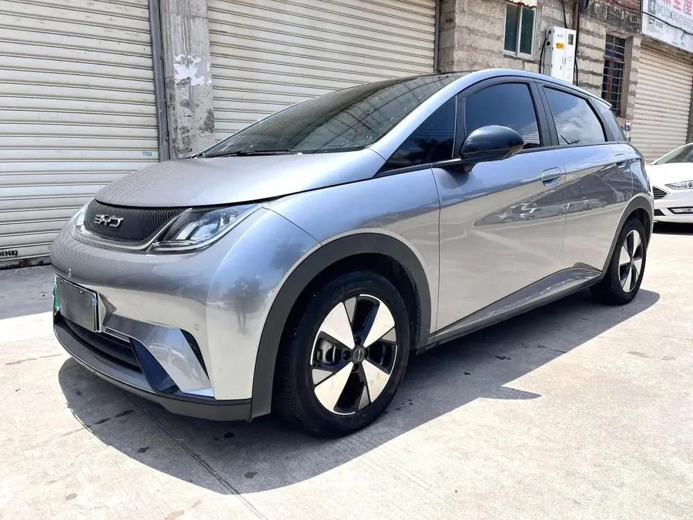 BYD Dolphin Fashion Edition, 2023 — фото 1