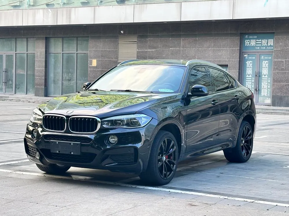 BMW X6 xDrive35i M Luxury Sport Version, 2017 — фото 1