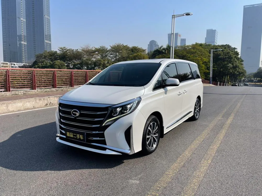 GAC Trumpchi Trumpchi M8 Series 390T Luxury Edition, 2021 — фото 1