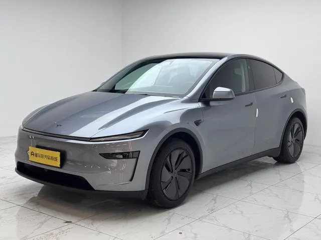 Tesla Model Y Edition, 2025 — фото 1