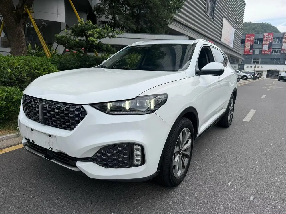 Wey VV6 2.0T 2WD Smart +, 2020 — фото 1