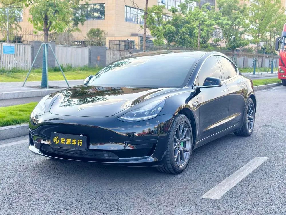 Tesla Model 3 Standard Range RWD Upgraded Edition, 2020 — фото 1
