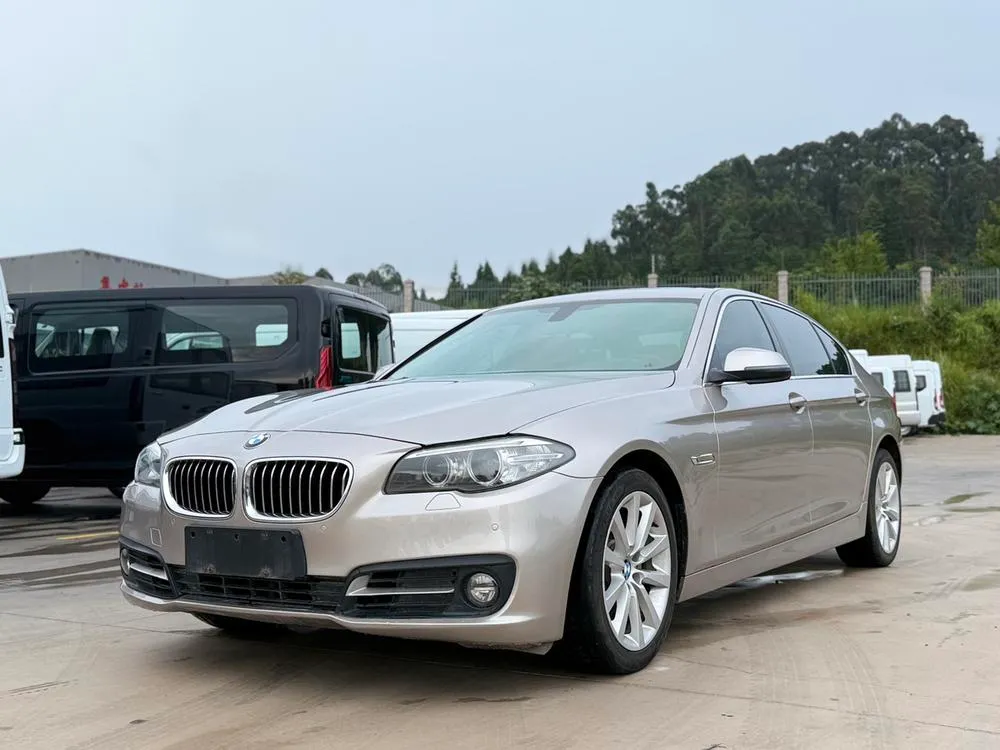 BMW 5-Series, 2014