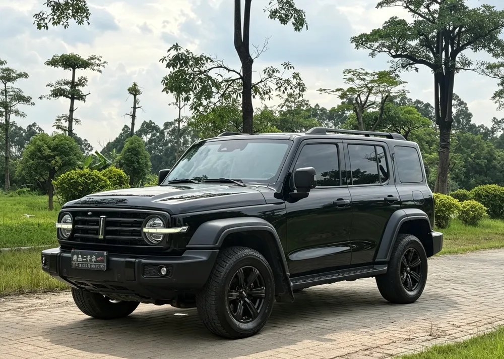 Tank 300 Offroad Edition 2.0T, 2021 — фото 1