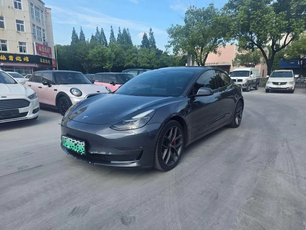 Tesla Model 3 Performance High Performance AWD Edition 3D3/3D1, 2021 — фото 1