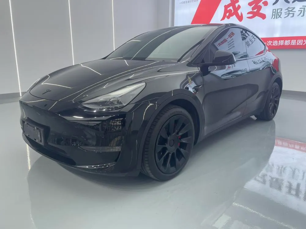 Tesla Model Y Long Range AWD Edition, 2021 — фото 1