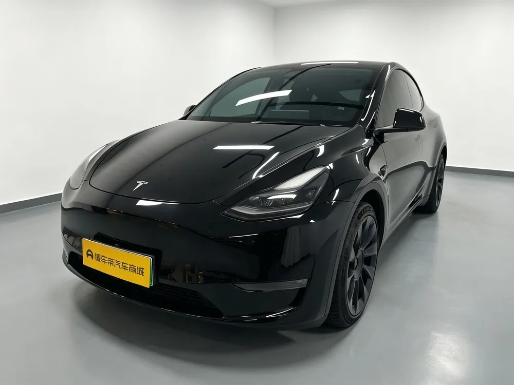 Tesla Model Y Standard Range Edition, 2021 — фото 1