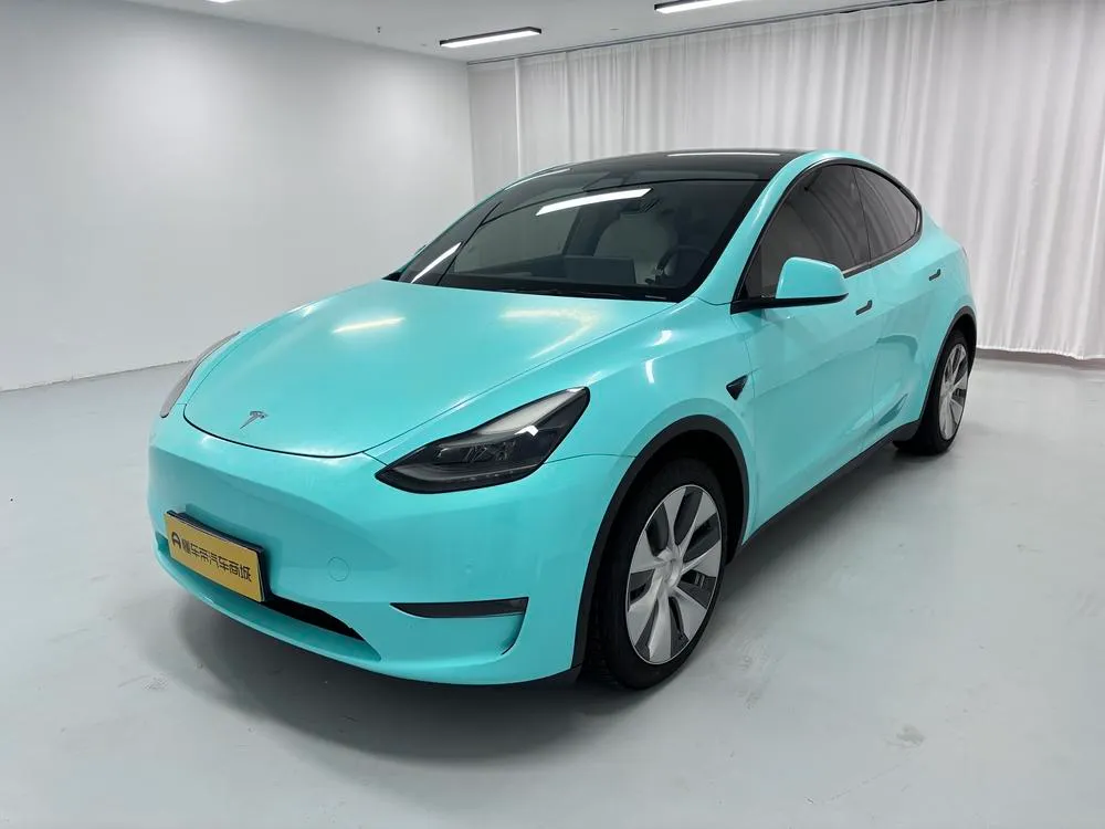 Tesla Model Y Standard Range Edition, 2021 — фото 1