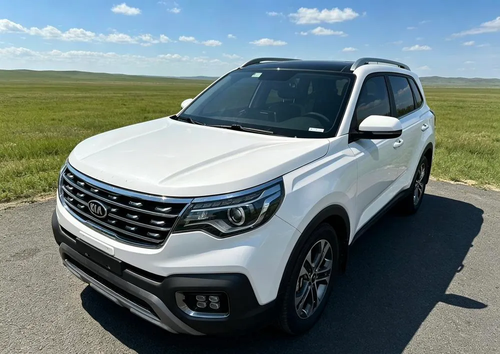 Kia Sportage R 2.0L Auto Smart Luxury Model, 2019 — фото 1