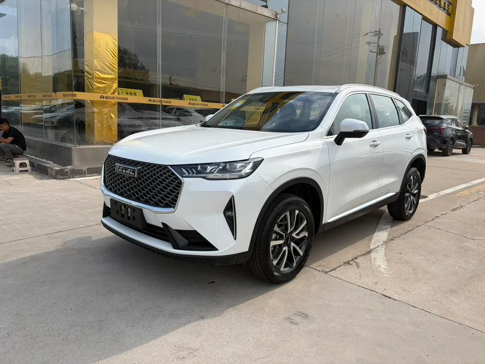 Haval H6, 2024