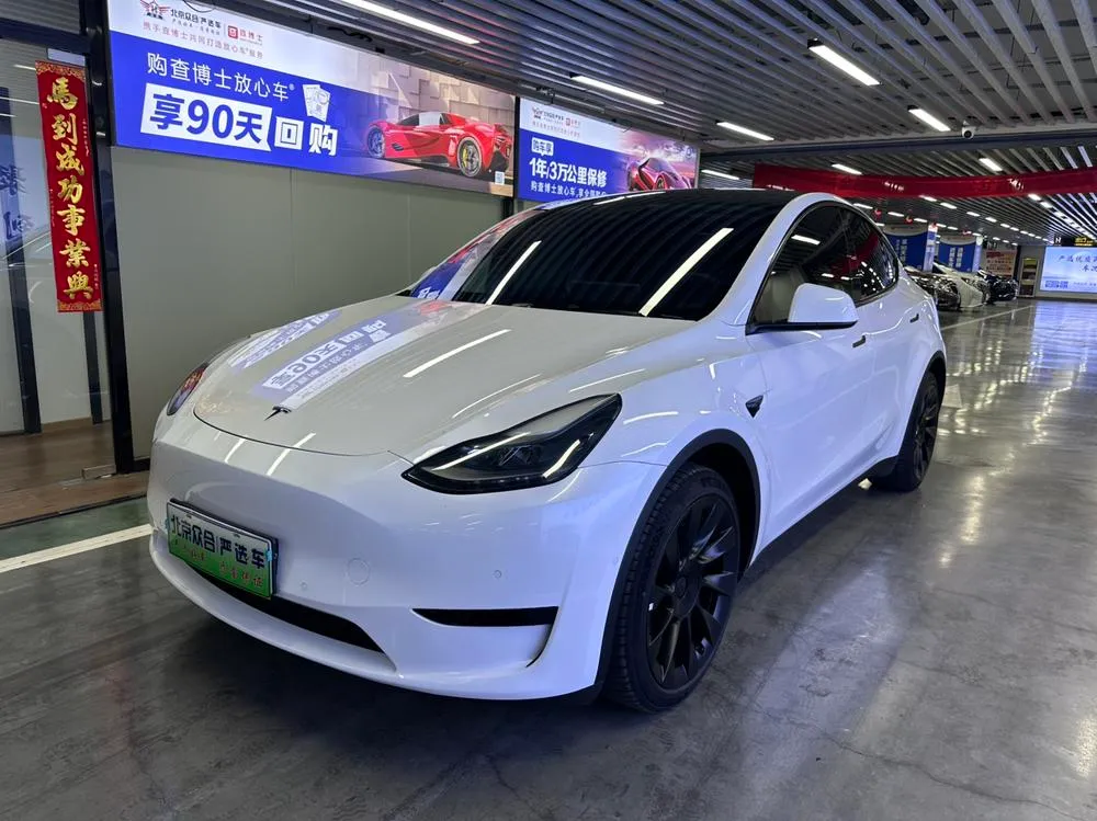 Tesla Model Y Edition, 2022 — фото 1