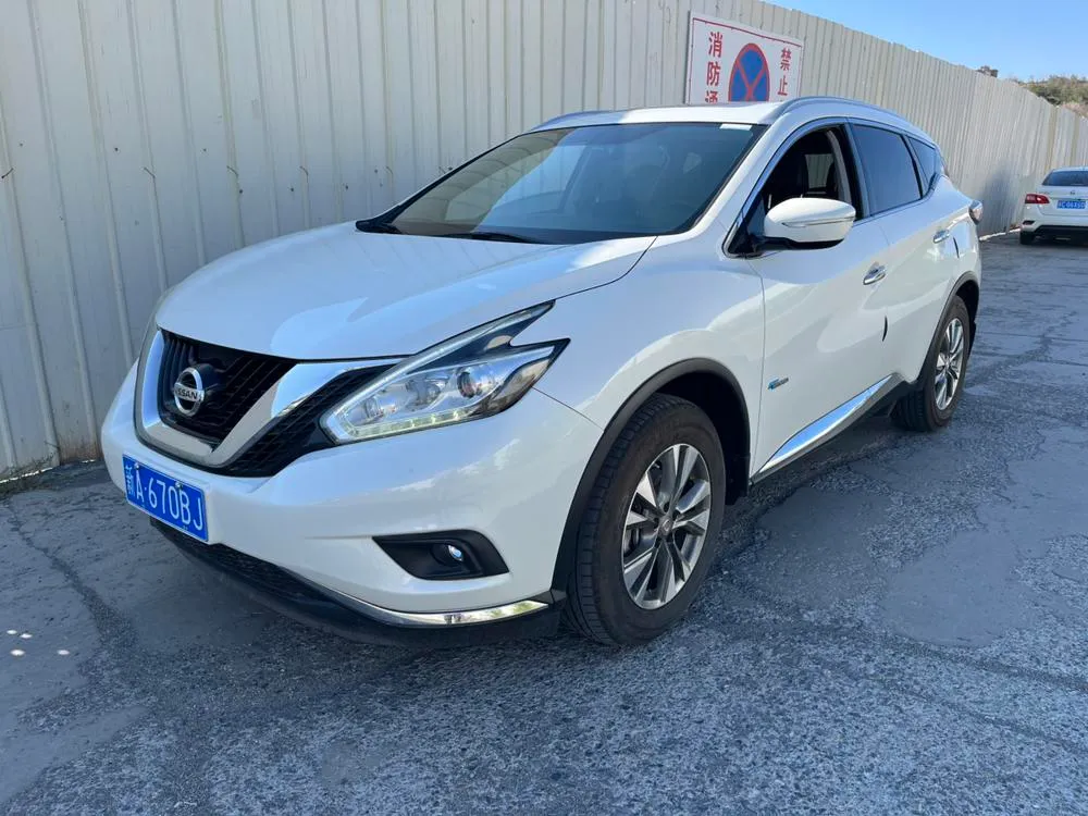 Nissan Murano 2.5 S/C HEV XE 4WD Hybrid Premium Style Edition, 2017 — фото 1