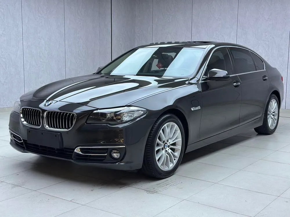BMW 5-Series 525Li Luxury, 2014 — фото 1