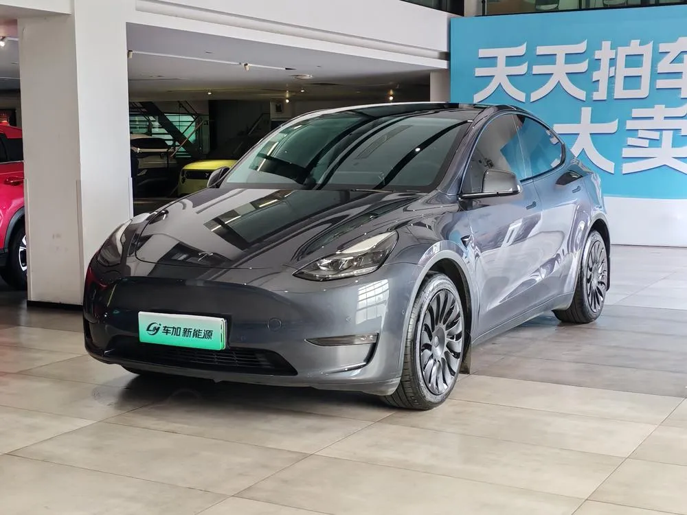 Tesla Model Y Long Range AWD Edition, 2021 — фото 1