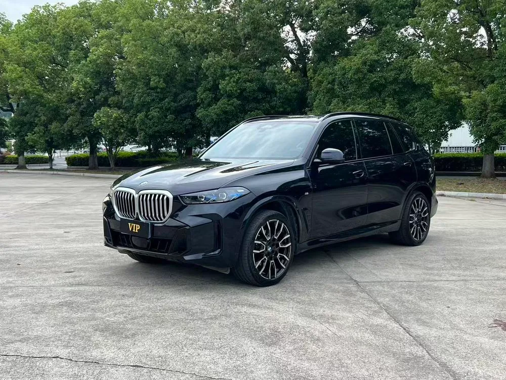 BMW X5 xDrive40Li M Sport, 2023 — фото 1