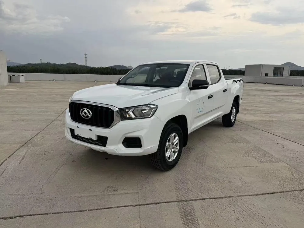 Maxus T60, 2020
