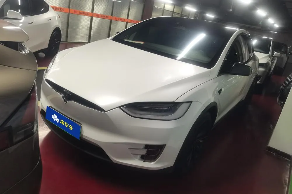 Tesla Model X Long Range Edition, 2019 — фото 1