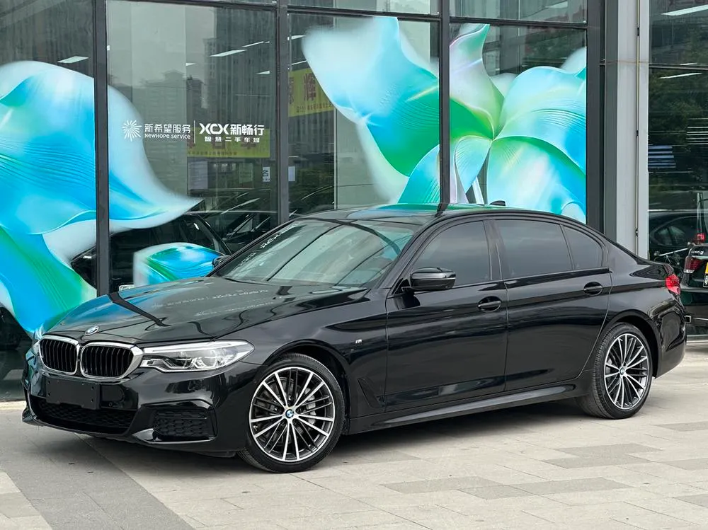 BMW 5-Series, 2019