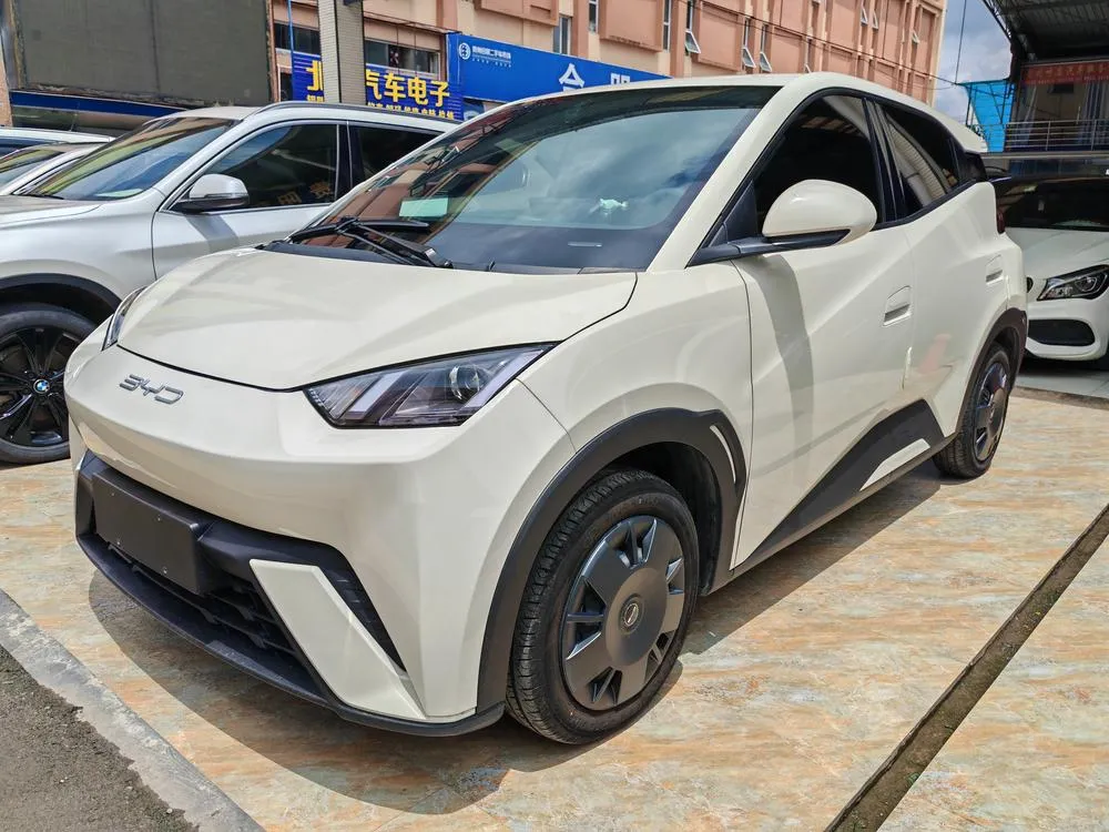 BYD Seagull Glory Edition 305KM Edition, 2024 — фото 1
