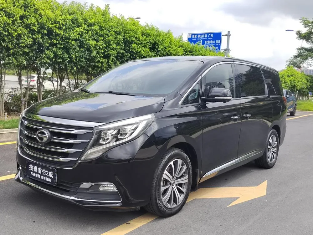GAC Trumpchi Trumpchi M8 320T Ultimate Edition, 2019 — фото 1