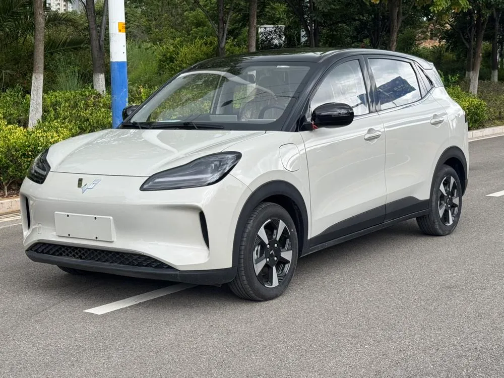 Wuling Bingo PLUS, 2024