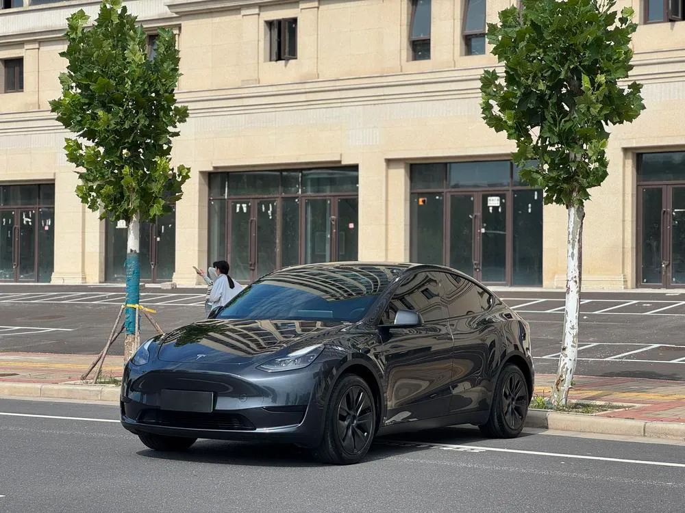 Tesla Model Y, 2024