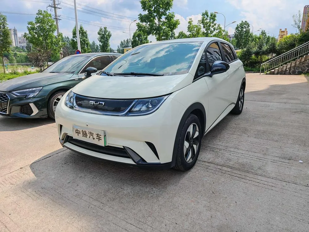 BYD Dolphin, 2025