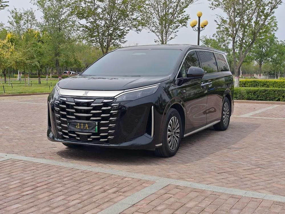 BYD Xia, 2025