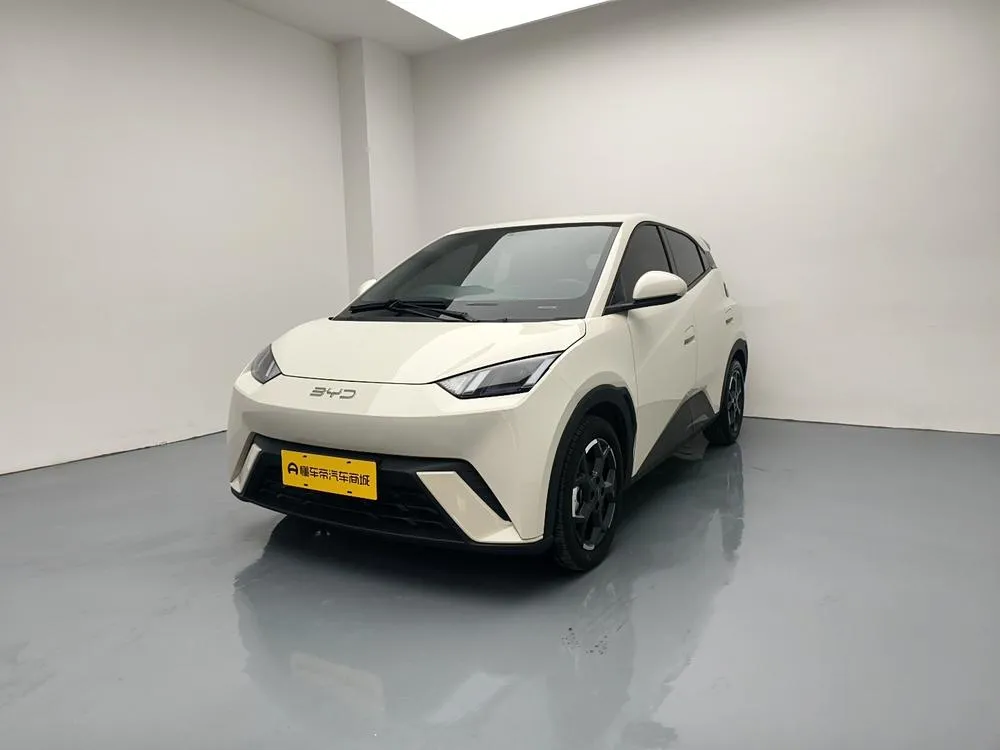 BYD Seagull, 2025