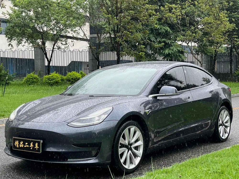 Tesla Model 3 Standard Range RWD Upgraded Edition, 2019 — фото 1