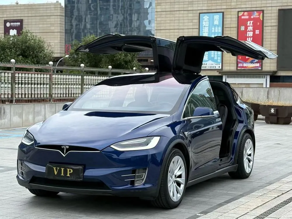 Tesla Model X 75D, 2016 — фото 1