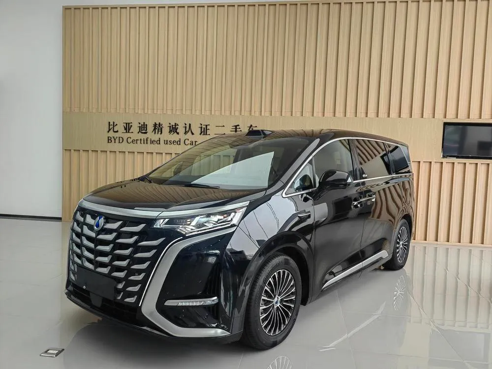 Denza D9 DM Smart Drive Edition 1020 4WD Flagship Version, 2025 — фото 1