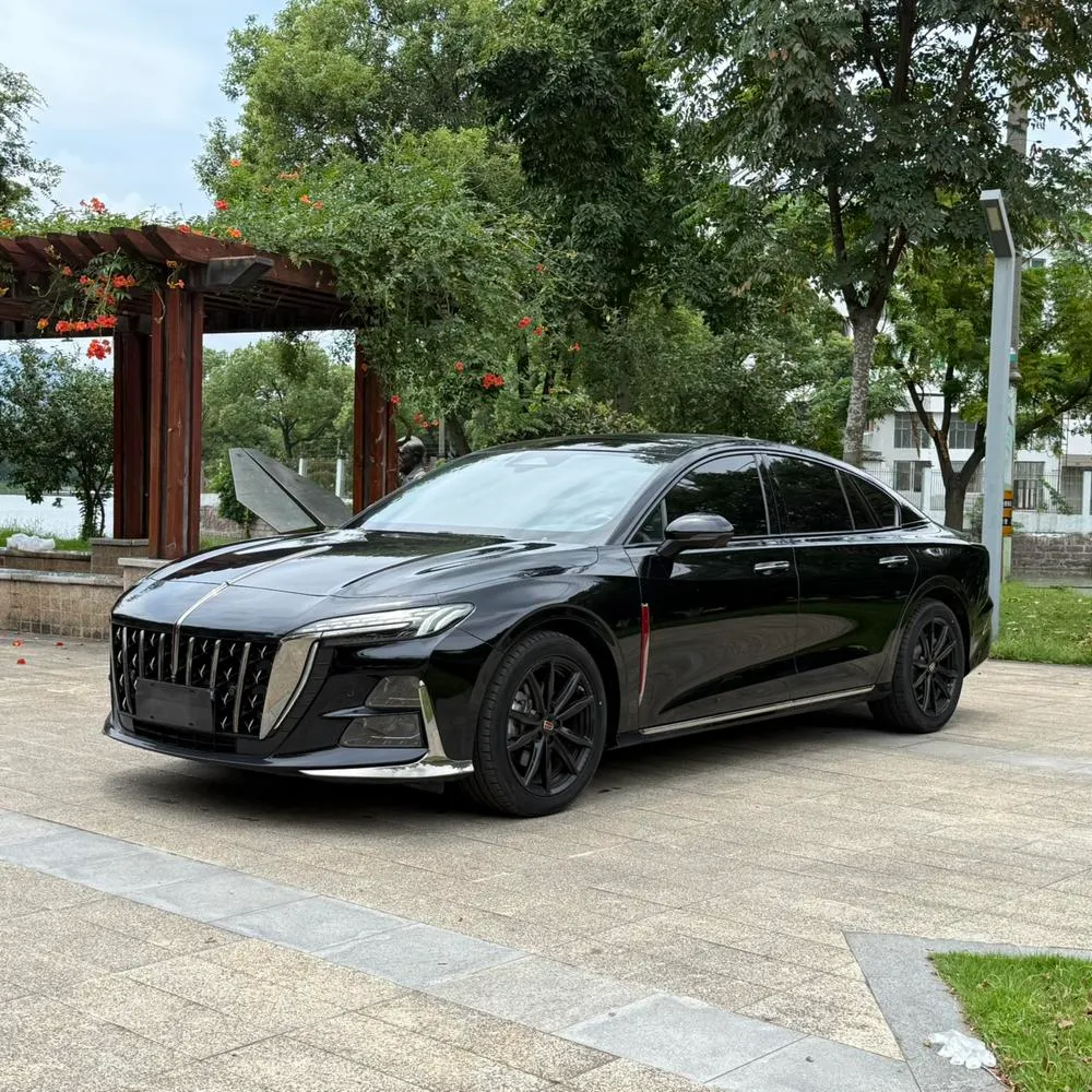 Hongqi H6, 2024