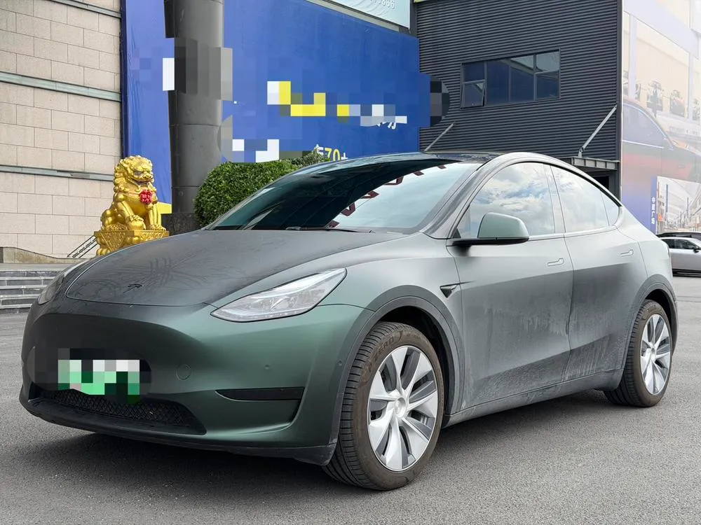 Tesla Model Y, 2022