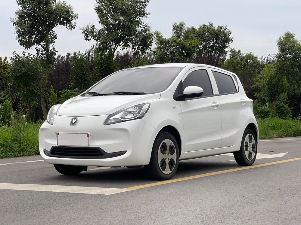 Changan Oshan Benni E-Star Edition Joy Edition NCM, 2021 — фото 1