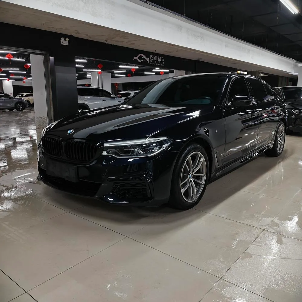 BMW 5-Series, 2019