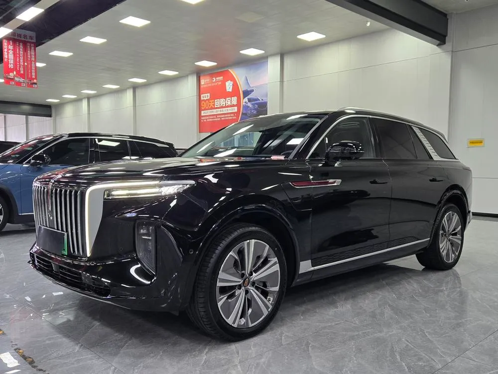 Hongqi E-HS9, 2020