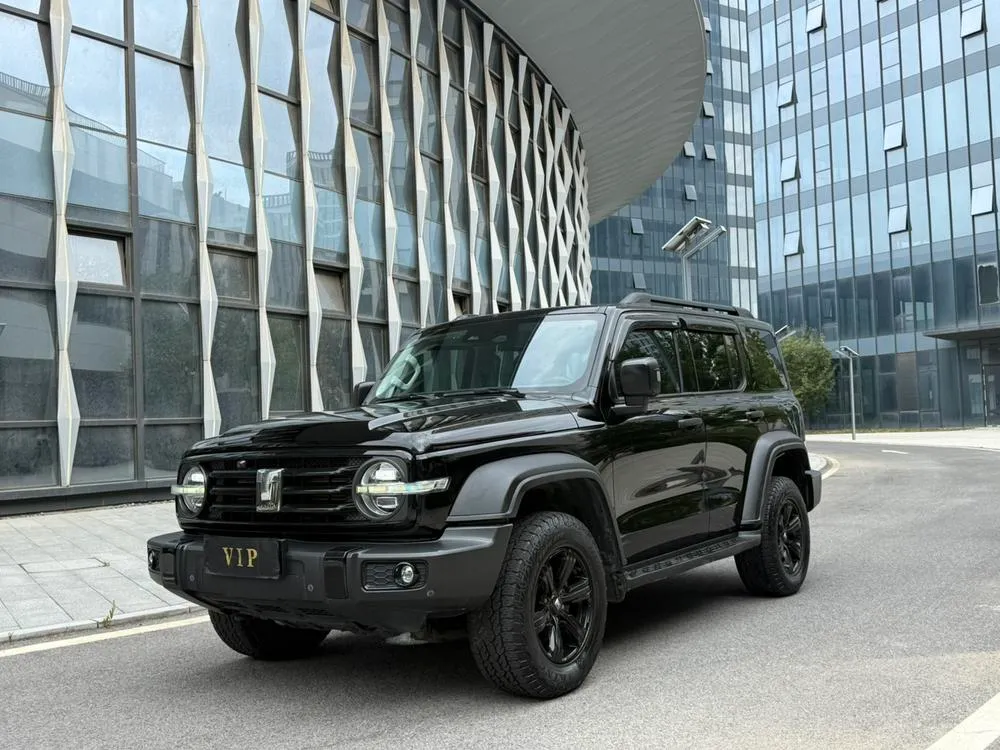 Tank 300, 2021