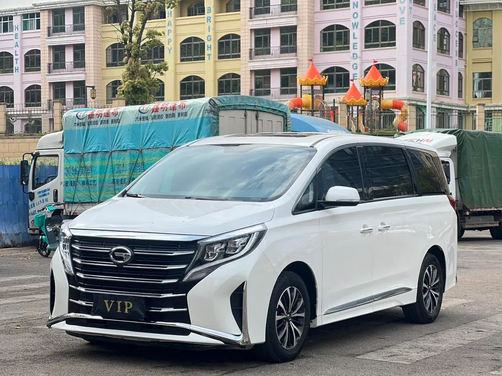 GAC Trumpchi Trumpchi M8 Series 390T Prestige Edition, 2021 — фото 1