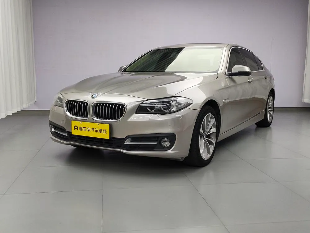 BMW 5-Series 525Li Leading Version, 2017 — фото 1