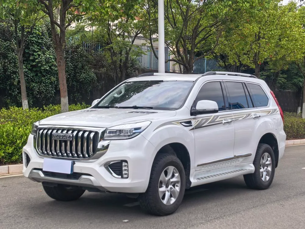 Haval H9 2.0T Gasoline 4WD Elite Version 5 Seater, 2022 — фото 1